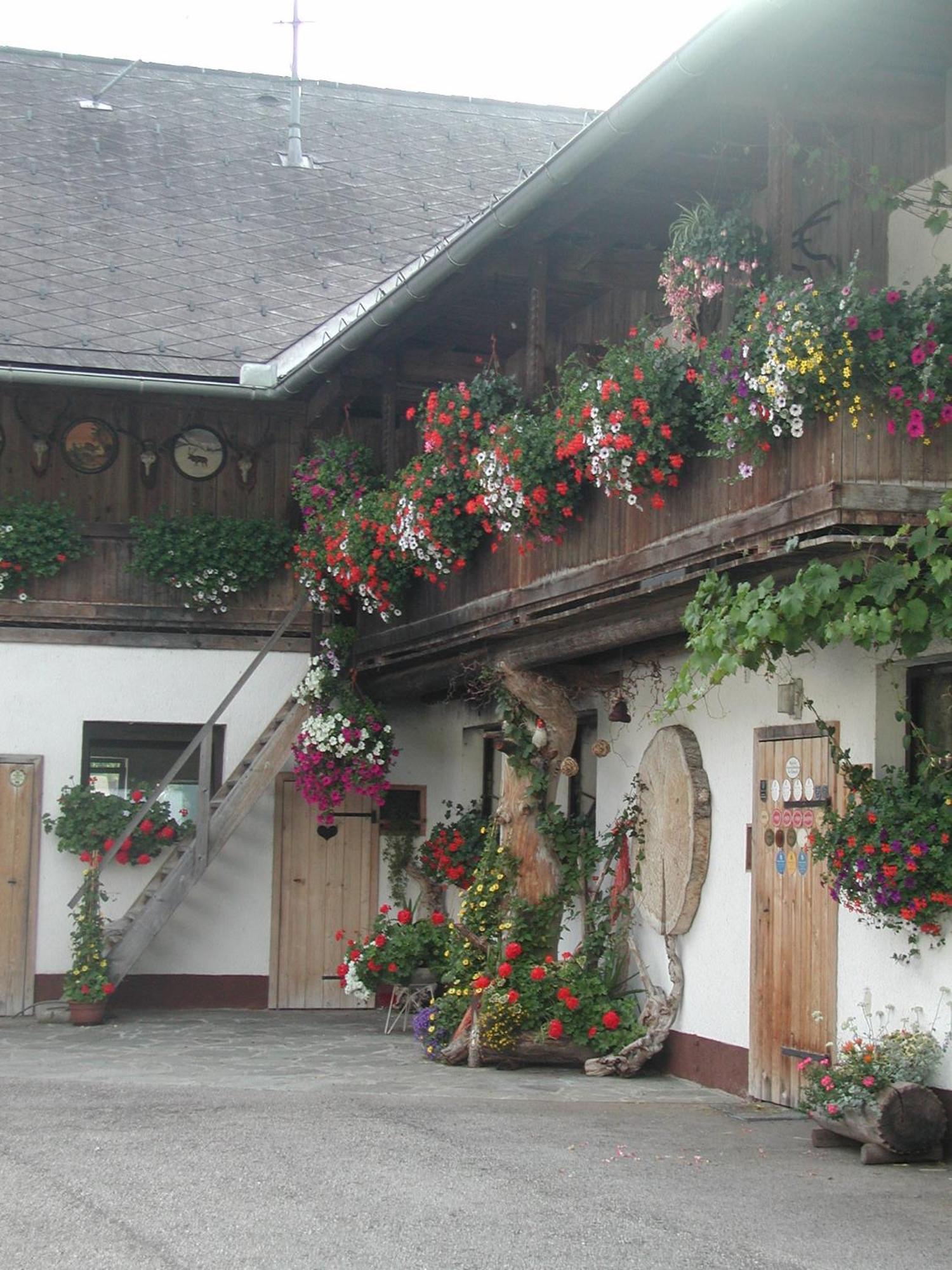 Ferienhof Unterfuehrholzergut Klaus an der Pyhrnbahn Buitenkant foto