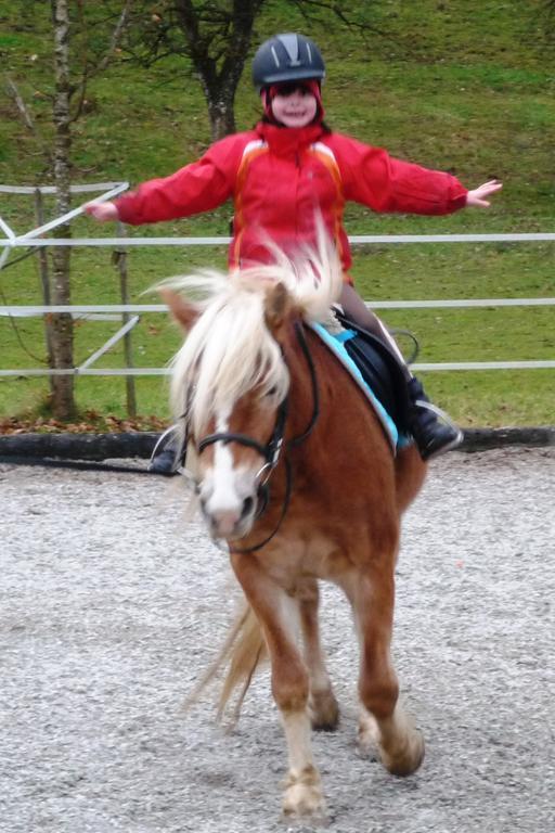 Ferienhof Unterfuehrholzergut Klaus an der Pyhrnbahn Buitenkant foto