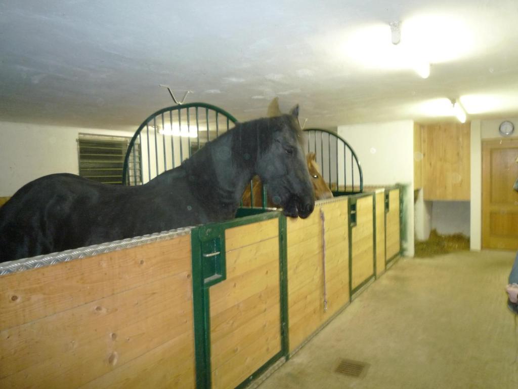 Ferienhof Unterfuehrholzergut Klaus an der Pyhrnbahn Buitenkant foto
